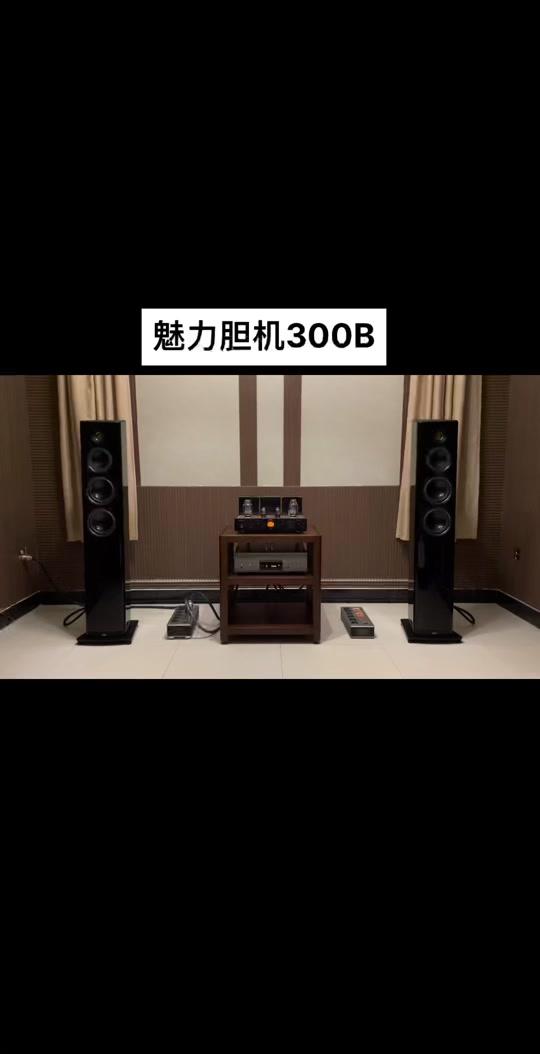 魅力胆机维修_进口音响维修网.jpeg